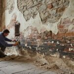 diagnosing and treating damp